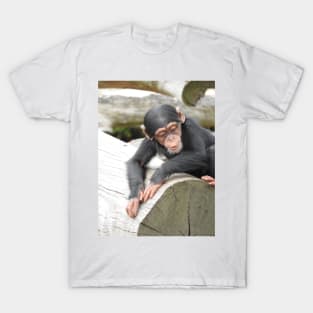 Baby Chimpanzee T-Shirt